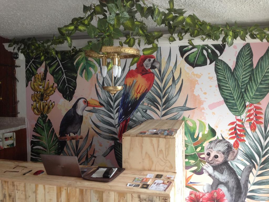 Hostal Casa Paraiso Medellin Luaran gambar